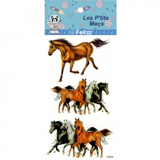 Wholesale ephemeral tattoos, for professionals - FH220 boys