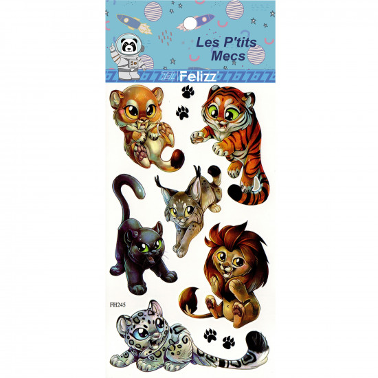 Wholesale ephemeral tattoos, for professionals - FH245 boys