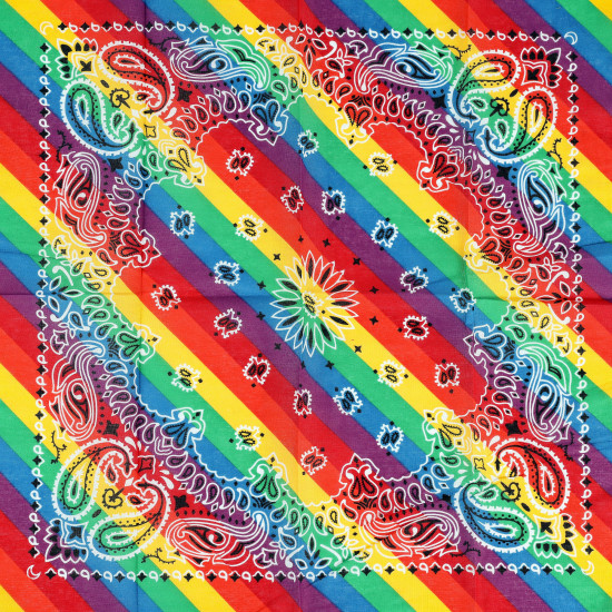 Wholesale bandanas and fashion accessories, multicolor model