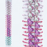Tube bracelets GSN143