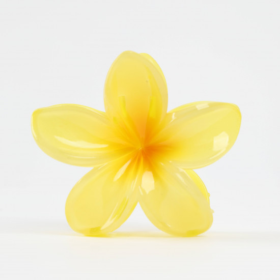 Pinces à cheveux fleur originales – Grossiste FELIZZ