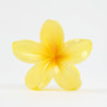 Pinza para el pelo con flor de vainilla