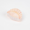 Hair clip Orange shell