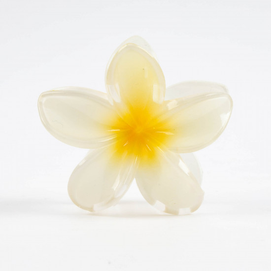 Mayorista Flores para el pelo - Felizz Collection