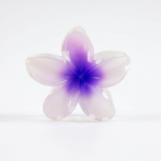 Pinces à Cheveux Fleurs Tendance – Grossiste Felizz