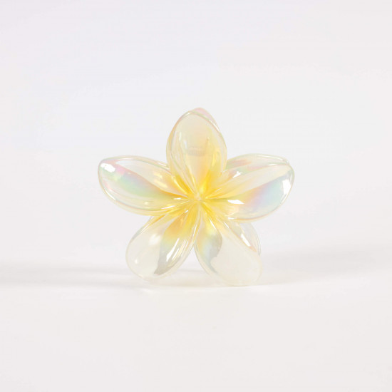 Pinces Cheveux Fleurs – Fournisseur Accessoires Felizz