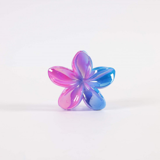 Fleur Tendance Hair Clips - Wholesaler Felizz