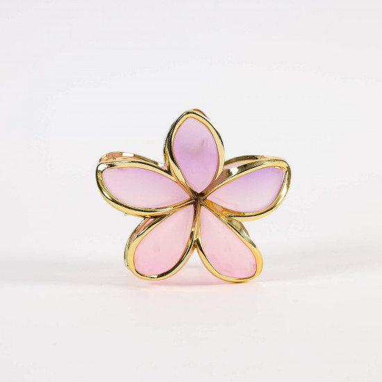 Stylish Flower Hair Clips - Wholesaler Felizz