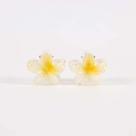 Kleine, elegante Blume Haarklammern - Lieferant Felizz