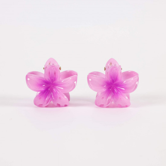 Petites Pinces à Cheveux Fleurs – Collection Felizz