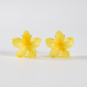 2 Petites Pinces à cheveux 094