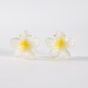 2 Petites Pinces à cheveux 097