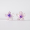 2 Petites Pinces à cheveux 098
