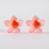 2 piccole mollette per capelli 099