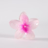 Hair Clips PINCE-FLEUR-066