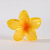 Mollette per capelli PINCE-FLEUR-081