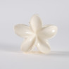 Hair Clips PINCE-FLEUR-087