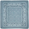 Bandana Gris