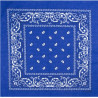 Dark blue bandana