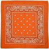 Bandana arancione