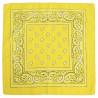 copy of Bandana Orange