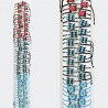 Tube bracelets tendances GA1737