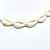 White string seashell bracelet